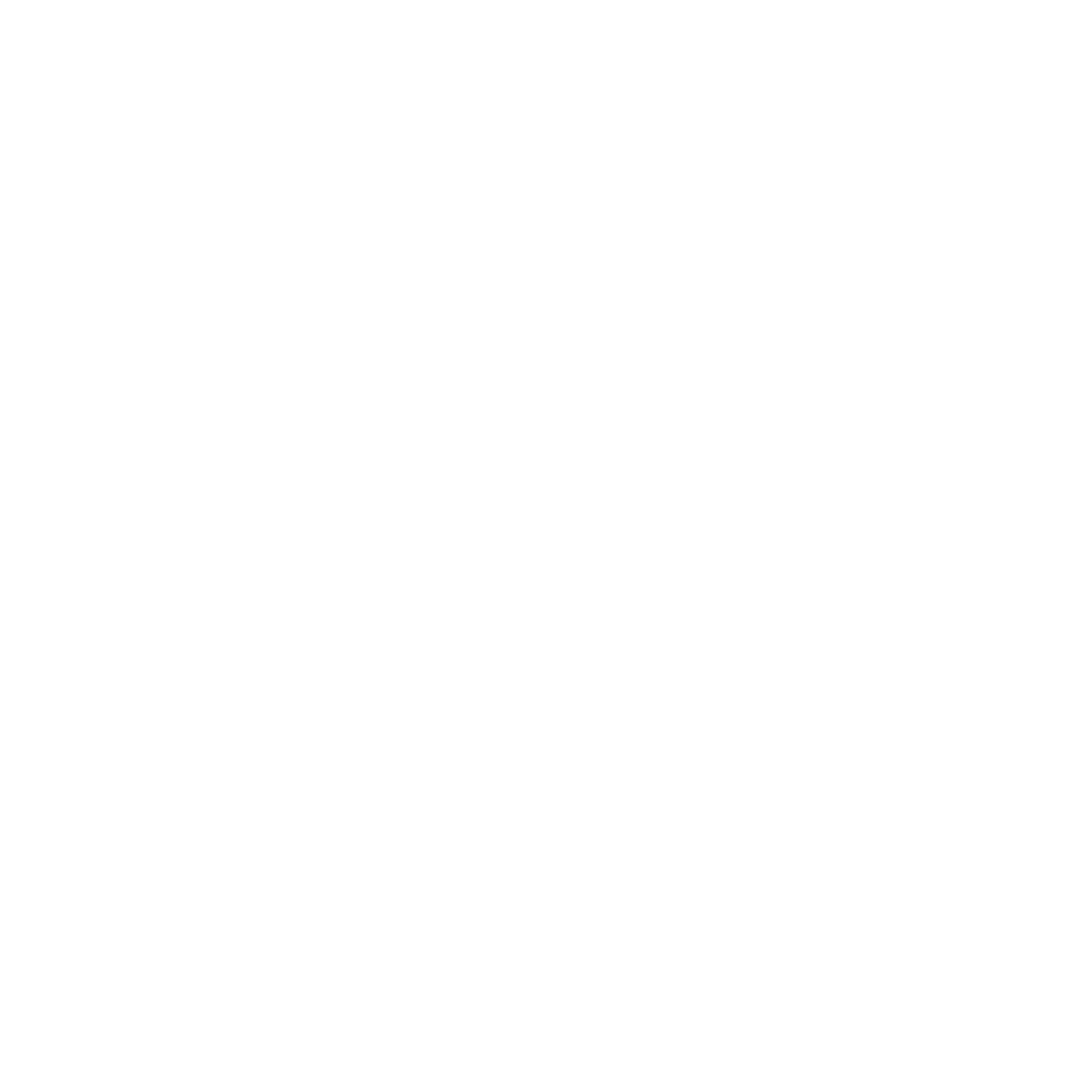 Logo Negro Brand
